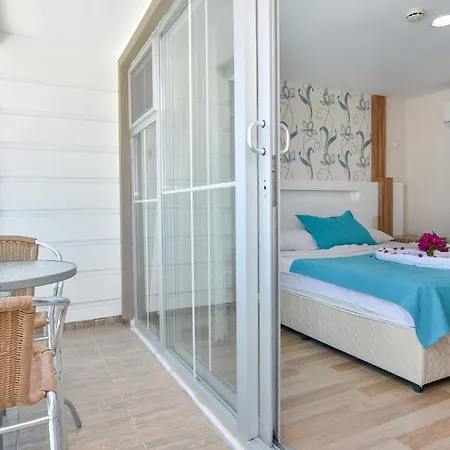 Clover Magic Altinkum Park シダ