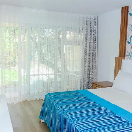 Clover Magic Altinkum Park シダ