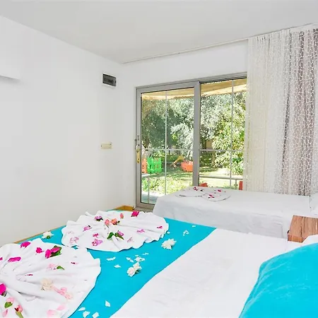 Clover Magic Altinkum Park シダ