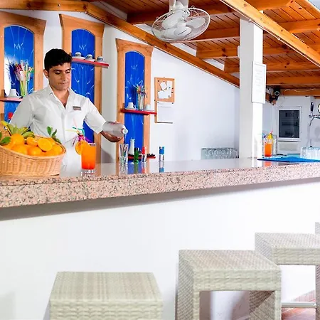 Clover Magic Altinkum Park シダ