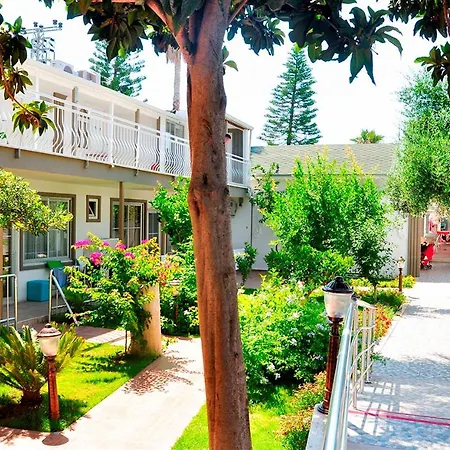 Clover Magic Altinkum Park 3* Sidé