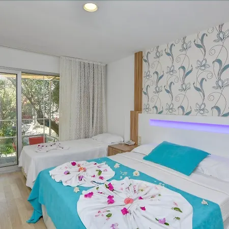 Clover Magic Altinkum Park 3* シダ