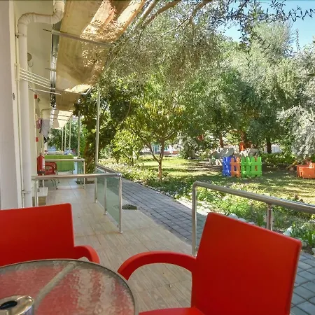 Clover Magic Altinkum Park シダ