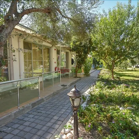 Clover Magic Altinkum Park 3* シダ