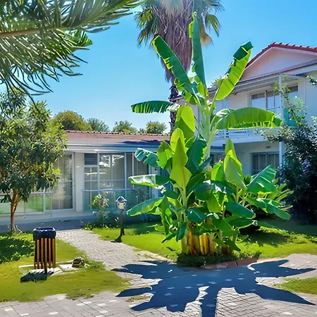 Clover Magic Altinkum Park 3* シダ