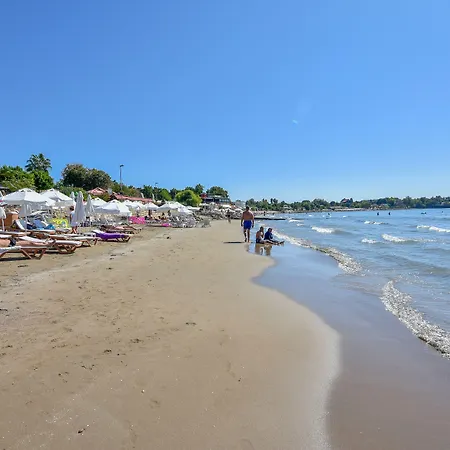 Clover Magic Altinkum Park ホテル シダ