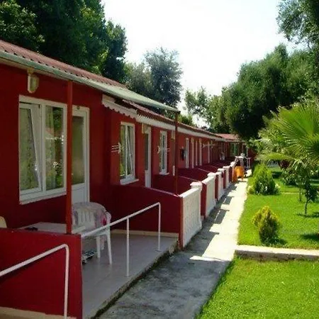 Clover Magic Altinkum Park シダ