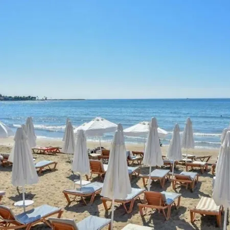 Clover Magic Altinkum Park シダ