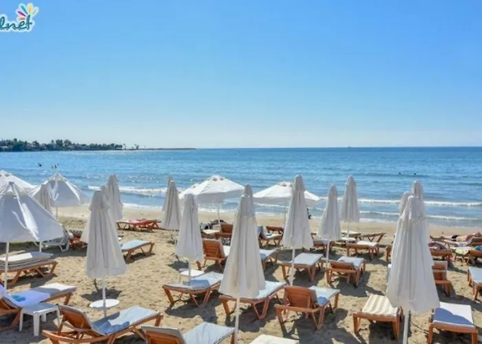 Clover Magic Altinkum Park Side